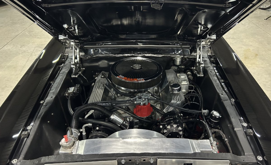 timeless classic coupe South Africa