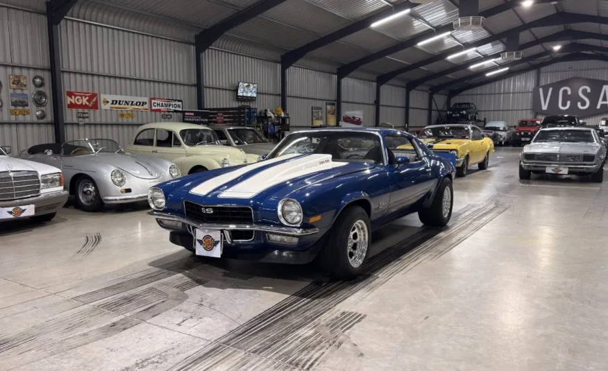 vintage rally car for sale