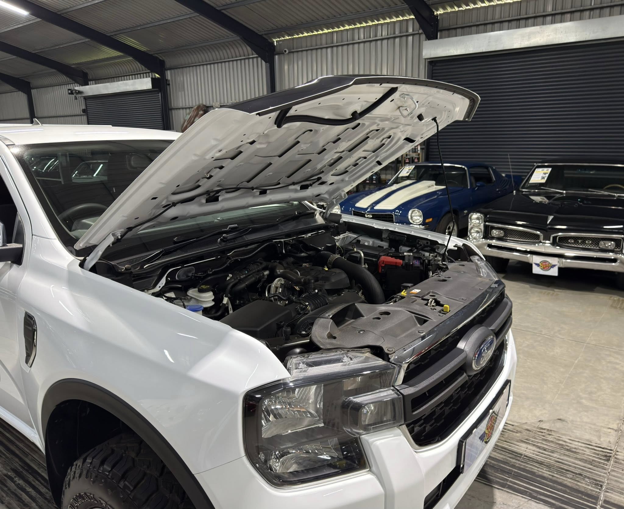 White pickup with hood raised inside a car showroom, other classic cars visible in the background