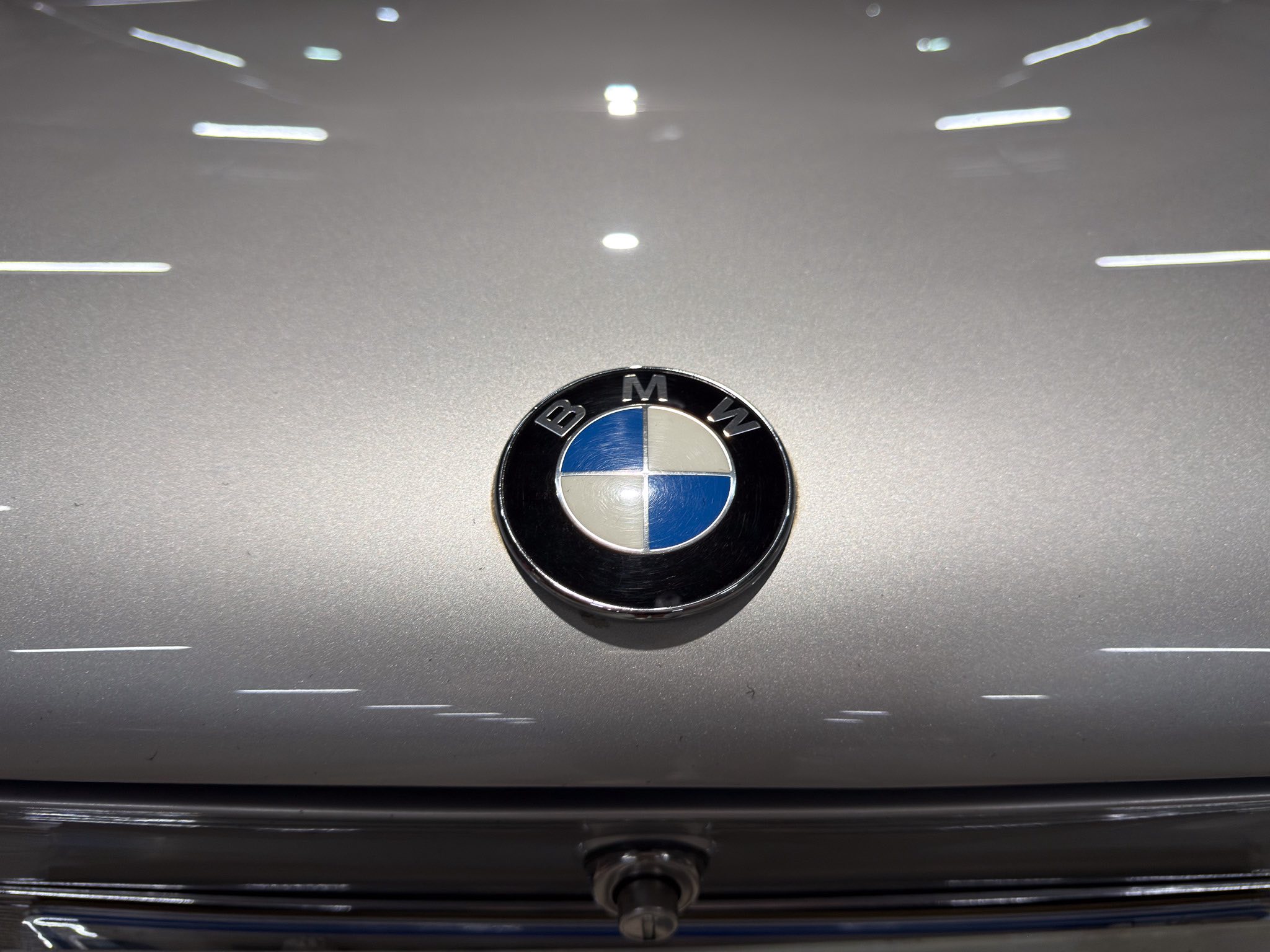 BMW roundel badge centered on a silver car trunk with chrome trim below it