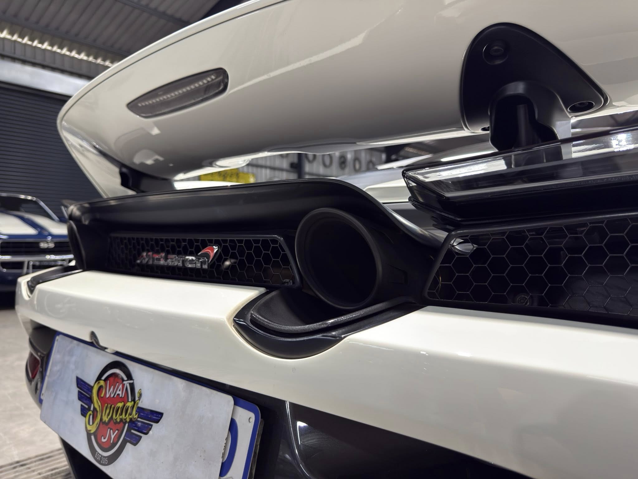 Rear of a white SUV showing the roof rack mounting and honeycomb grille, with a license plate reading 'SWAT Swag' visible below.