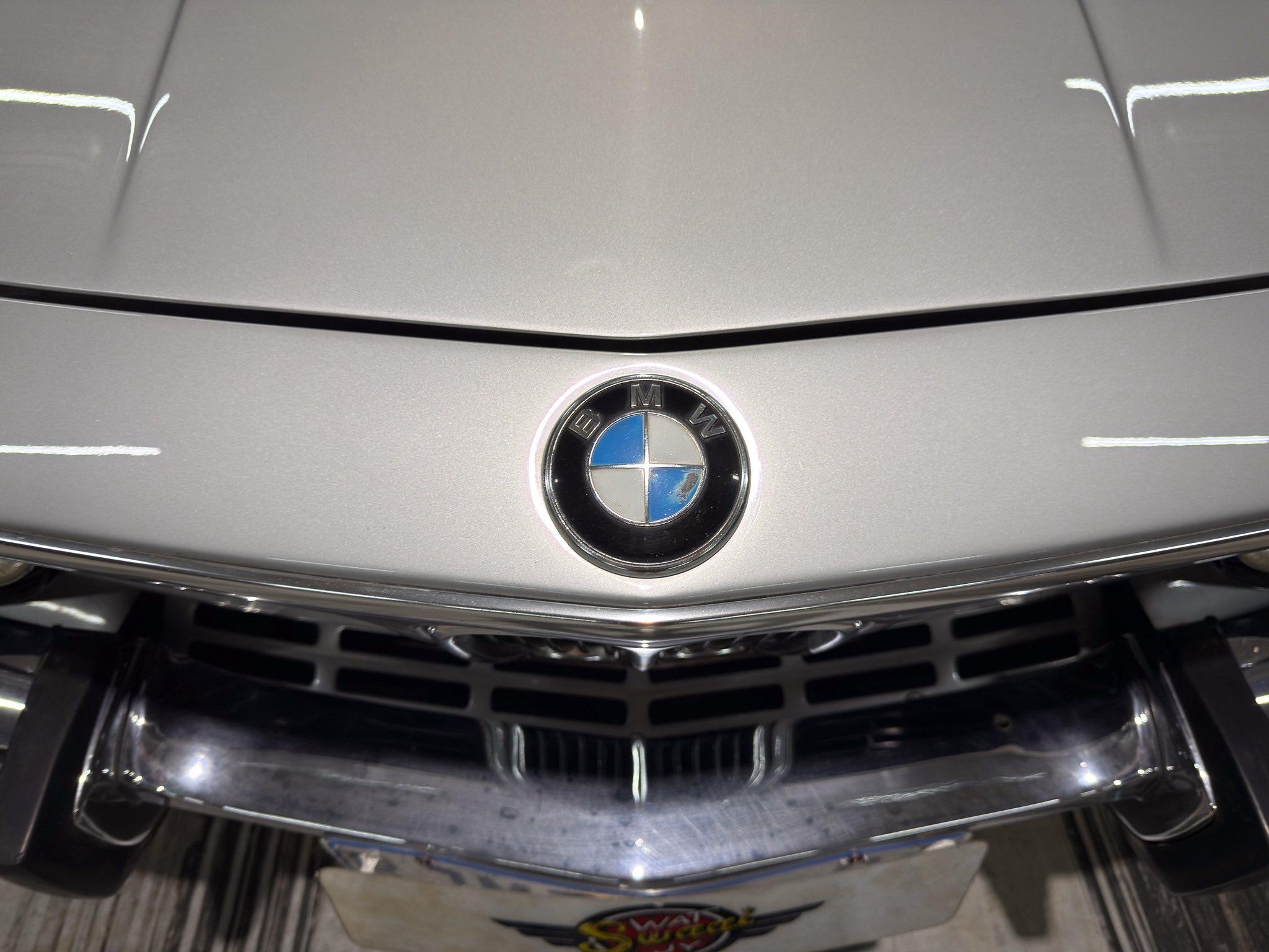 Close-up of the BMW emblem centered on a silver car hood with chrome trim and lower grille visible below.