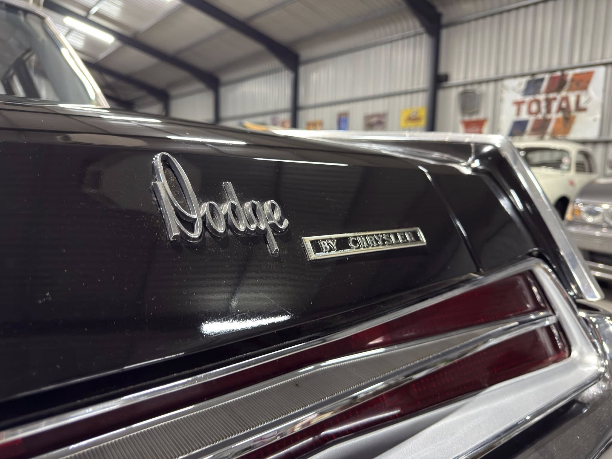 Close-up of a black vintage car's rear with a chrome script badge, in a showroom with other vehicles in the background.