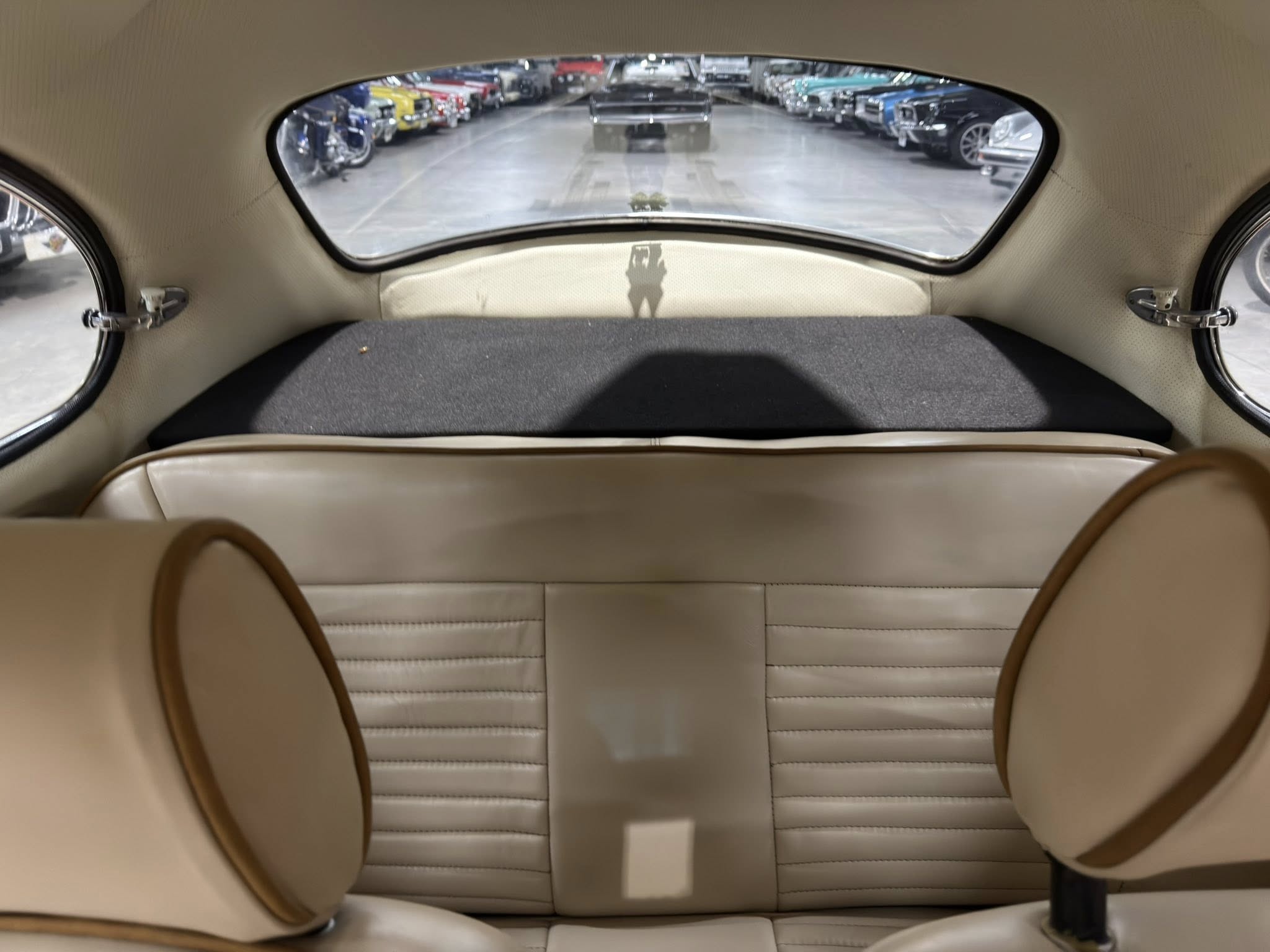 View from the back seat of a vintage car, beige leather interior with a curved rear window and a showroom full of classic cars ahead.