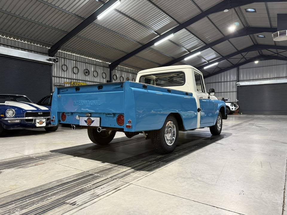 Blue vintage International pickup truck in a bright showroom, white cab, with other classic cars visible in the background.