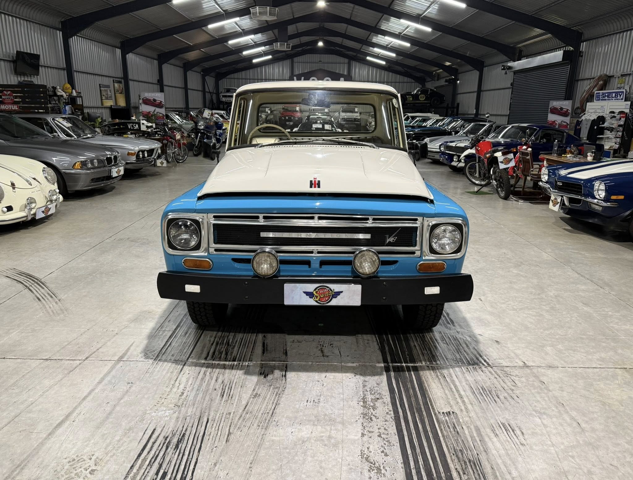 Front view of a white-and-blue vintage pickup in a classic car showroom with other classic cars visible in the background.