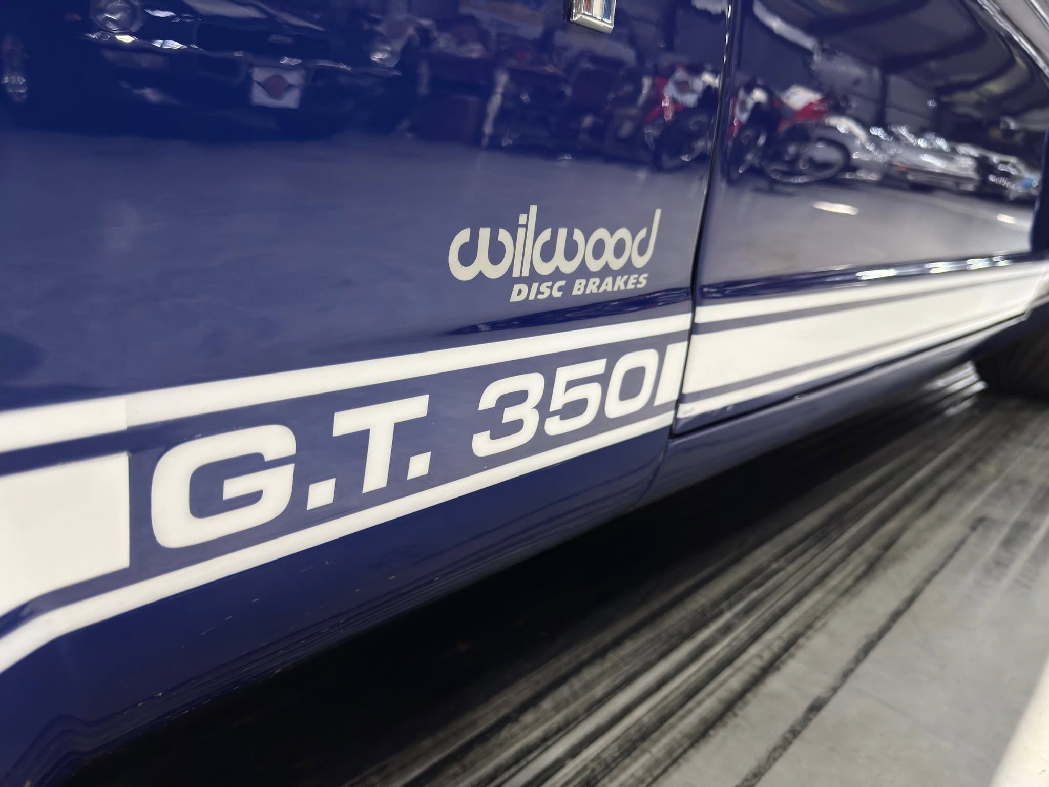 Side view of a dark blue car door with the 'Wildwood Disc Brakes' logo and partial 'GT350' lettering visible along the panel.