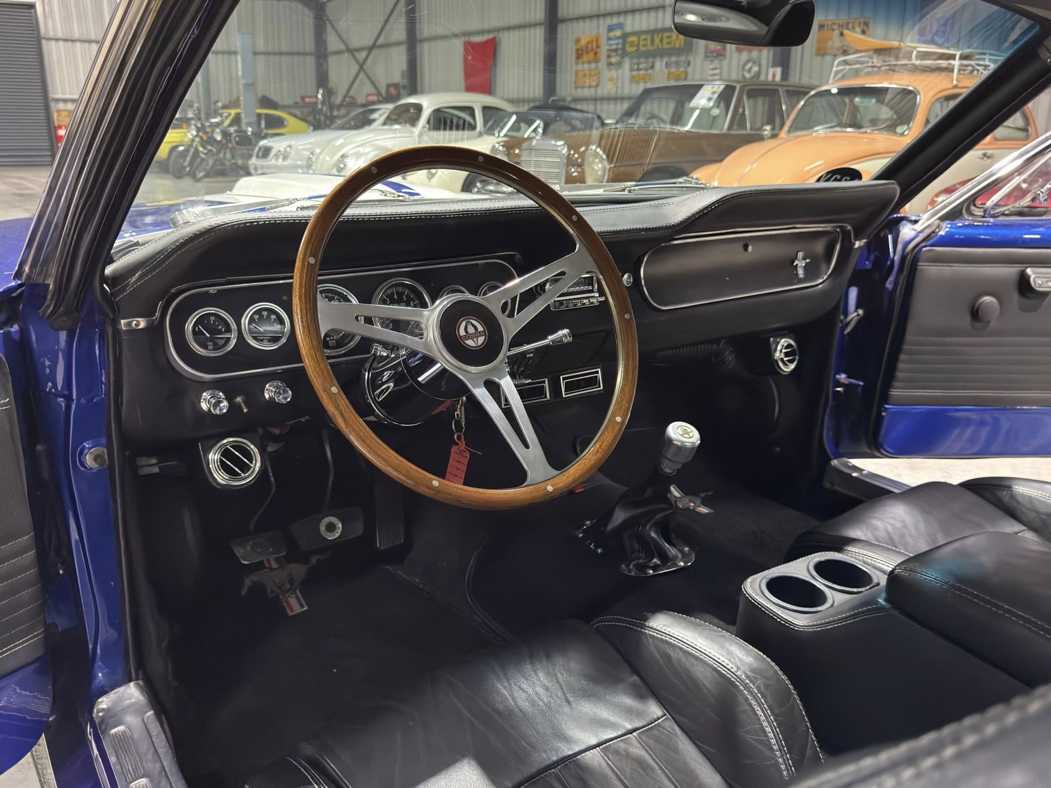 Interior of a blue vintage car with a wood-rimmed steering wheel and black dashboard, showroom of other classic cars in the background in view through the windshield.
