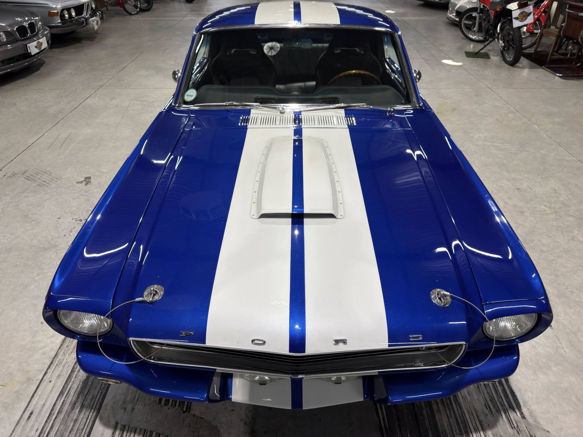 Front-on view of a blue classic Ford with white racing stripes in a showroom, hood and grille visible.