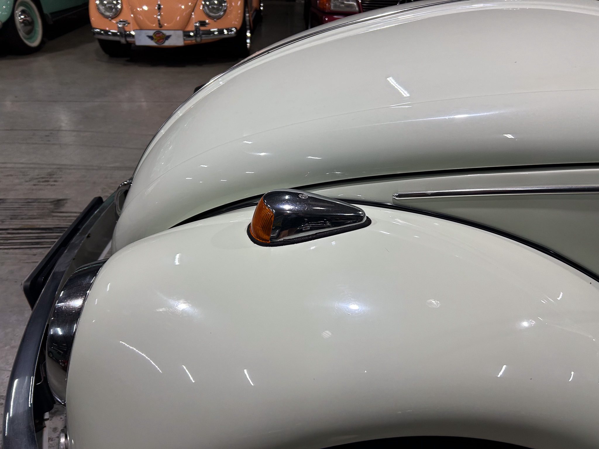 Close-up of a white vintage car hood with an orange front turn signal and chrome trim, parked indoors in a showroom/garage.