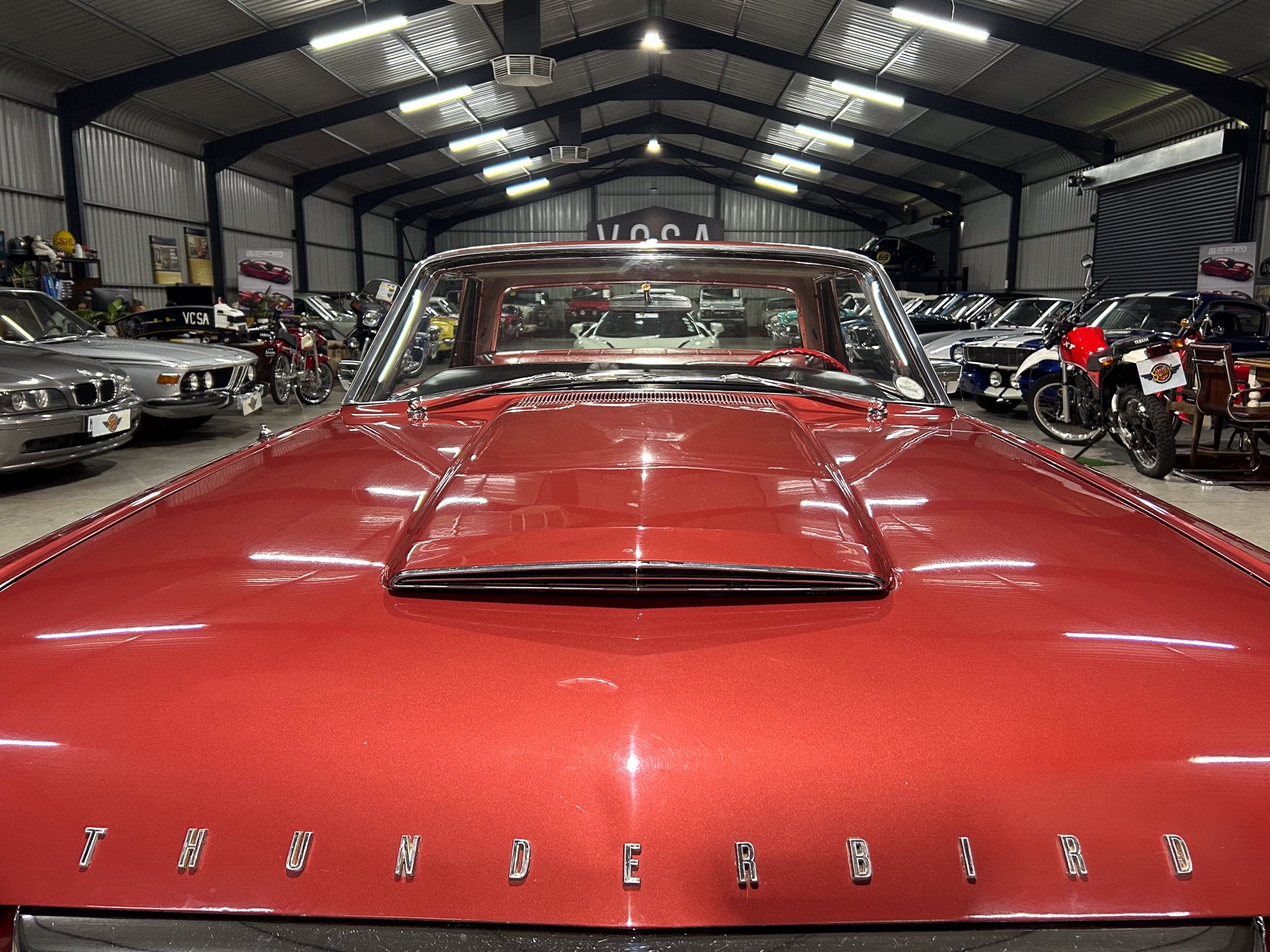 Close-up of a red Thunderbird hood with chrome 'THUNDERBIRD' lettering in a vintage car showroom filled with classic cars and motorcycles behind it.