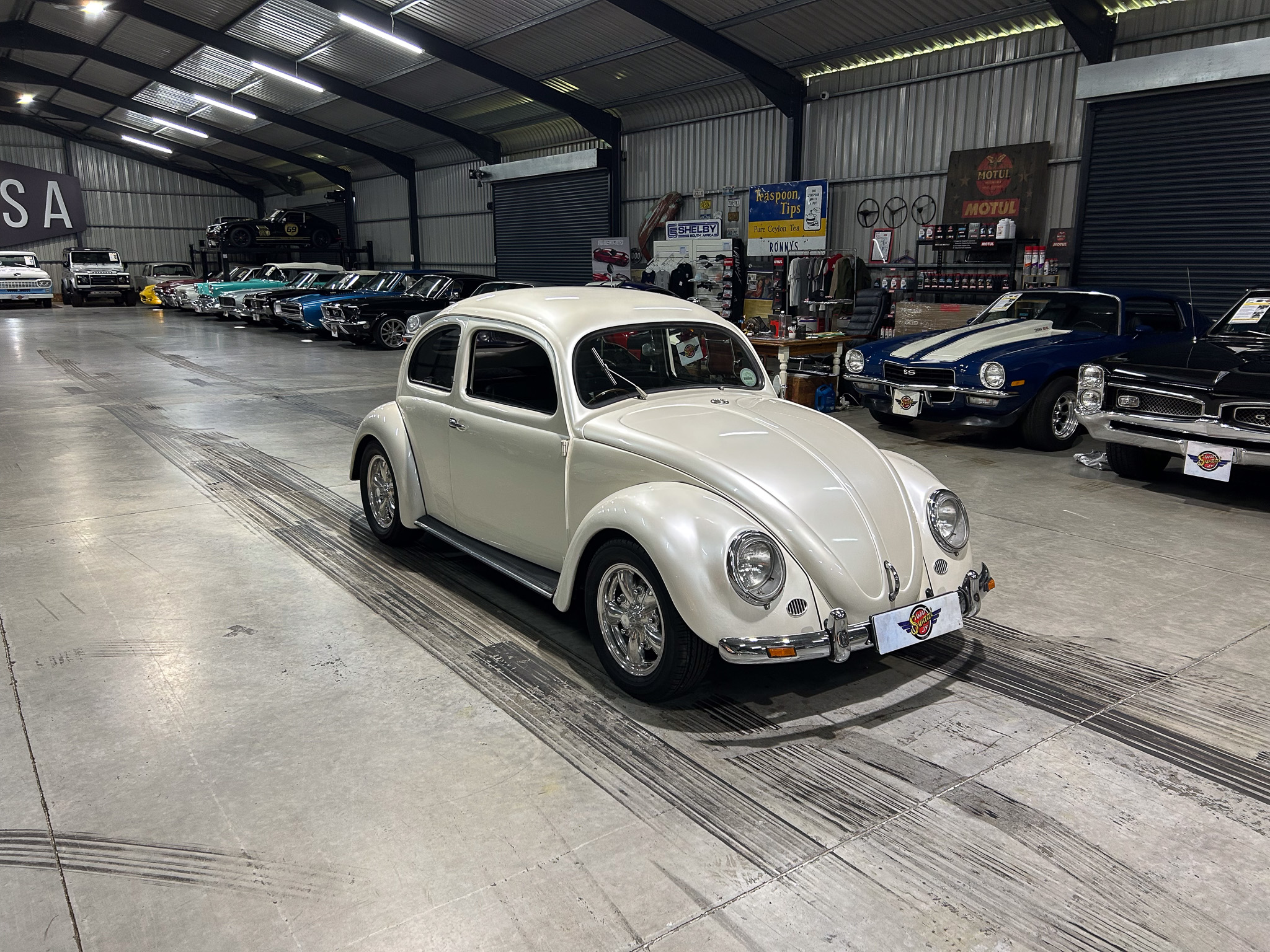 Indoor classic car showroom with a white vintage car in the foreground and a row of colorful vintage cars lined up along the wall inside a metal-structured warehouse.
