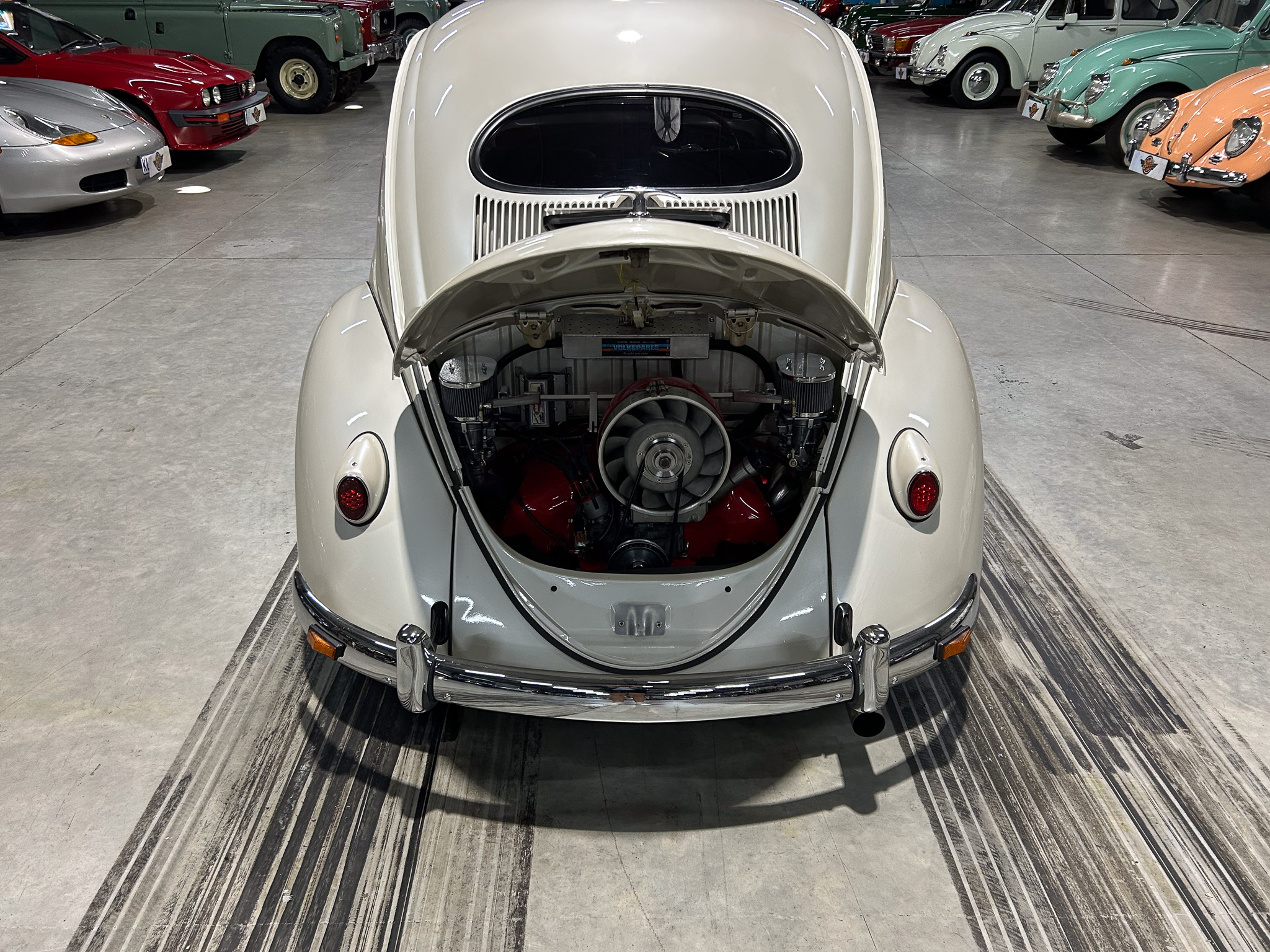 Rear view of a white vintage Volkswagen Beetle with the engine compartment open, displayed in a showroom with other colorful classic cars nearby.