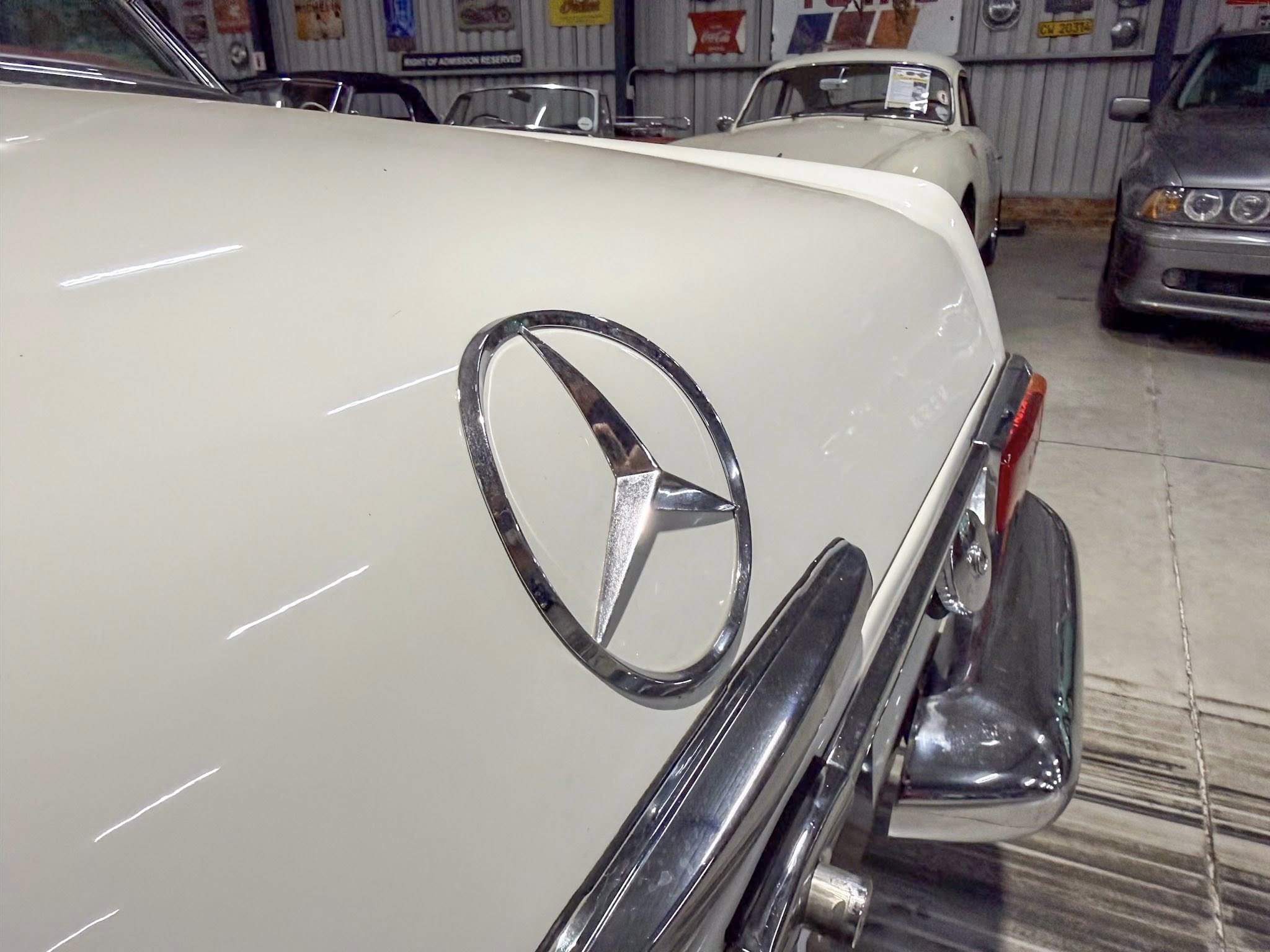 White classic Mercedes-Benz hood with prominent chrome emblem in a car showroom filled with other vintage cars in the background