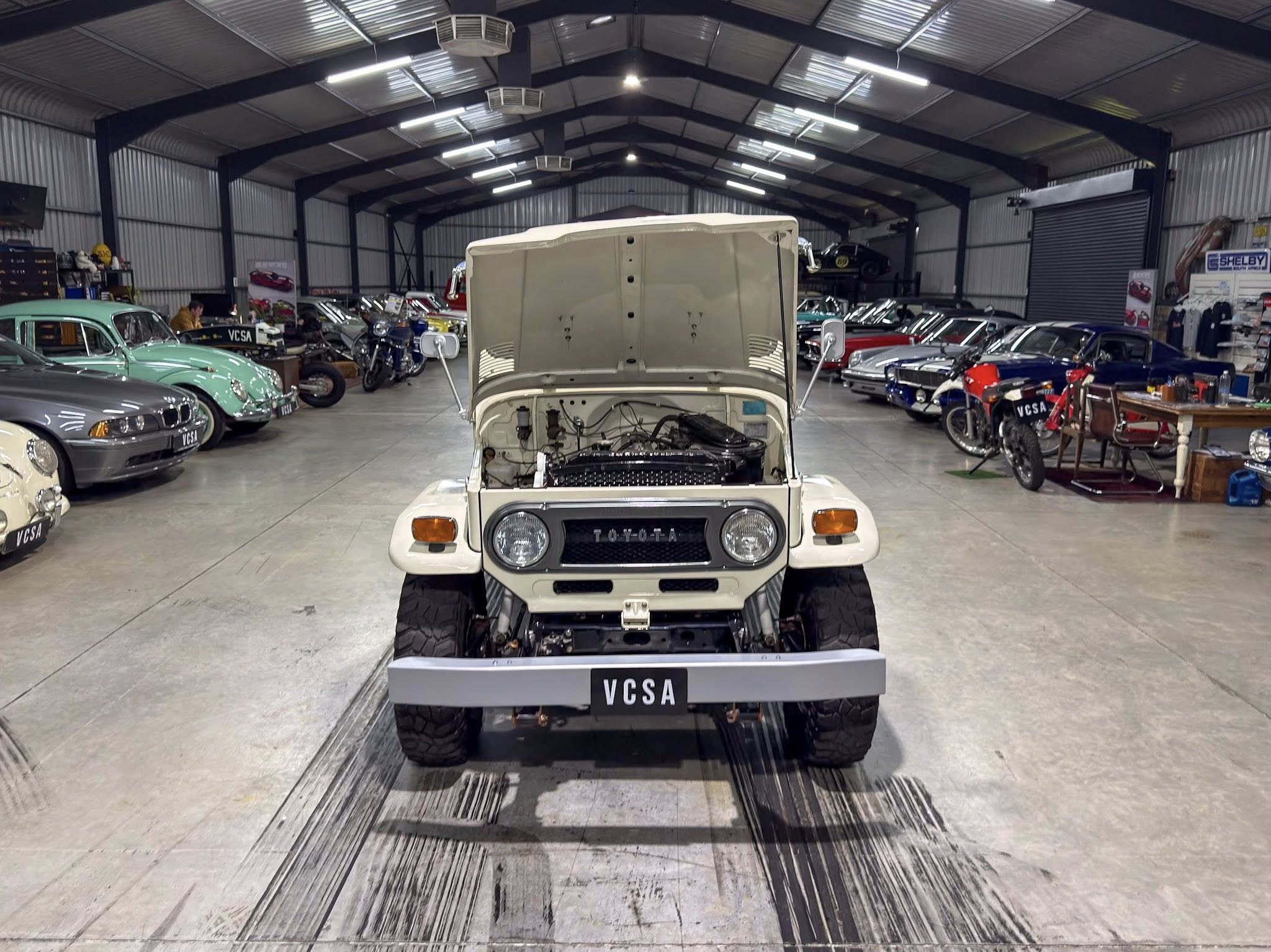 White vintage off-road vehicle with its hood open inside a classic car showroom, surrounded by numerous vintage cars and motorcycles on display.