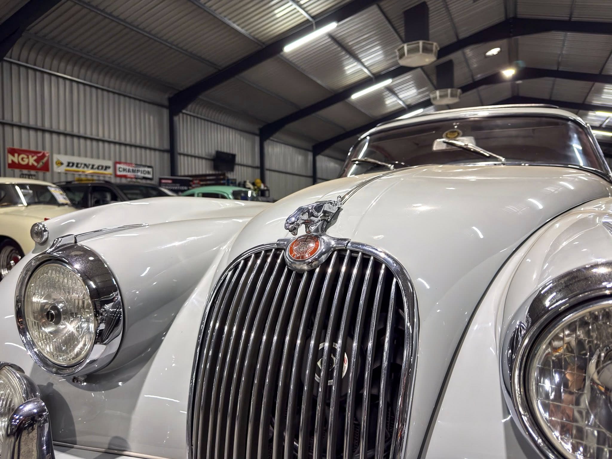 Close-up of a vintage cream-colored car's chrome grille and round headlight in a showroom/garage setting.