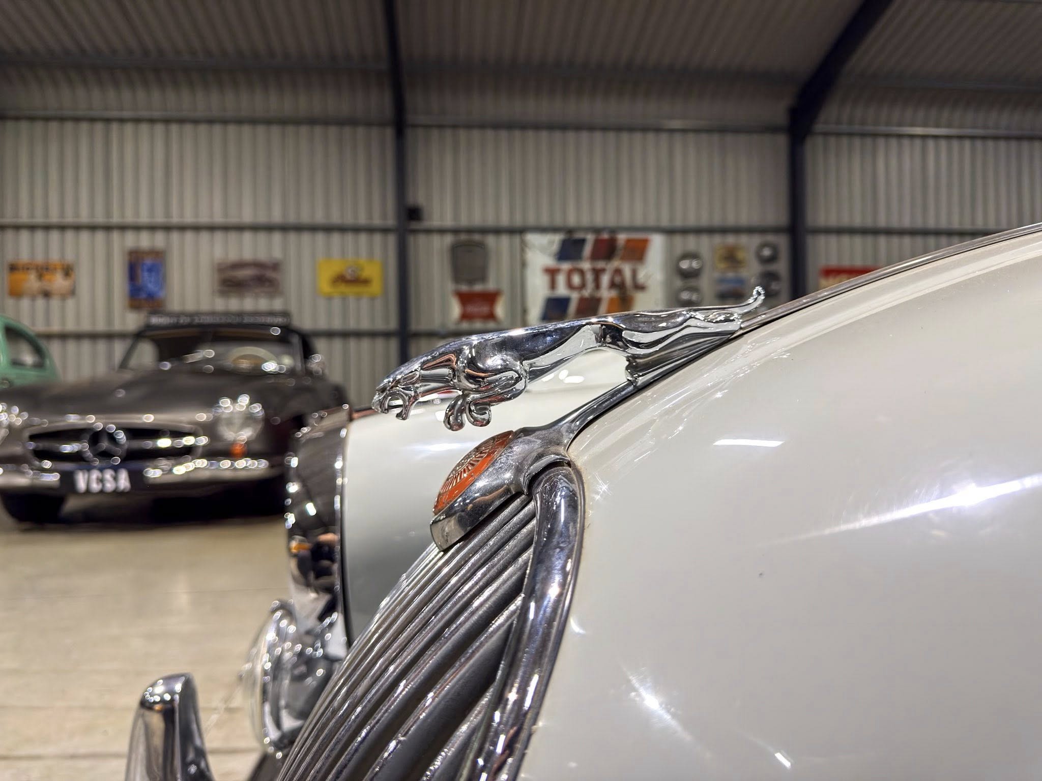 Close-up of a decorative chrome hood ornament on a vintage car, with an indoor showroom backdrop and other classic cars in soft focus behind it.