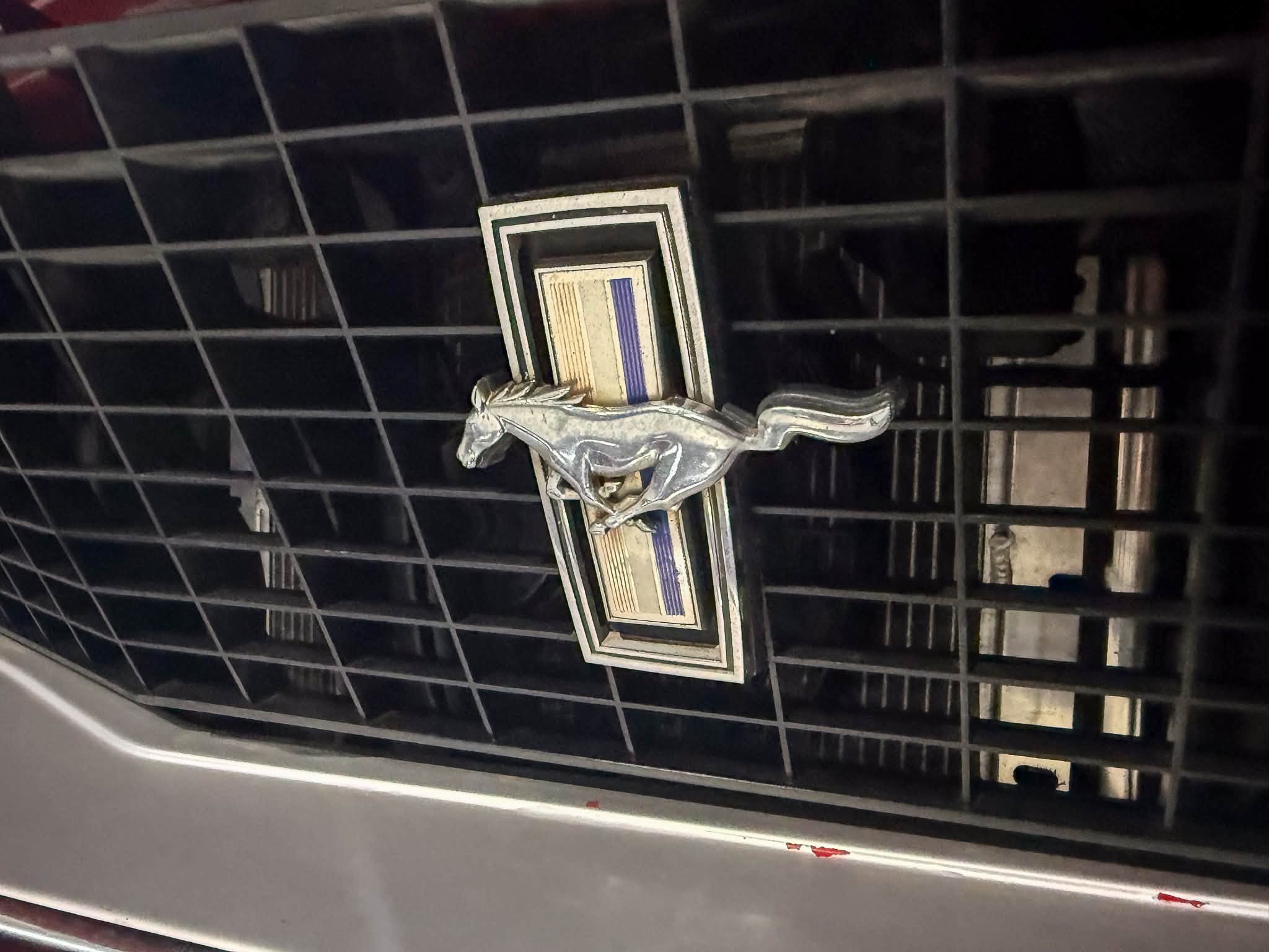 Close-up of a vintage car grille with a chrome hood ornament featuring a rearing horse above a boxed emblem.