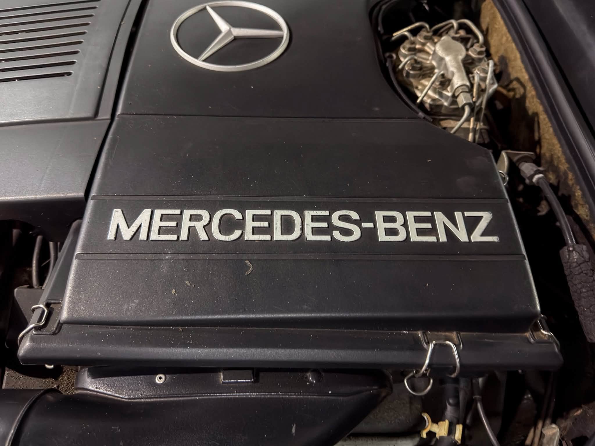 747191137_1442358064589443_6389806048758376329_n